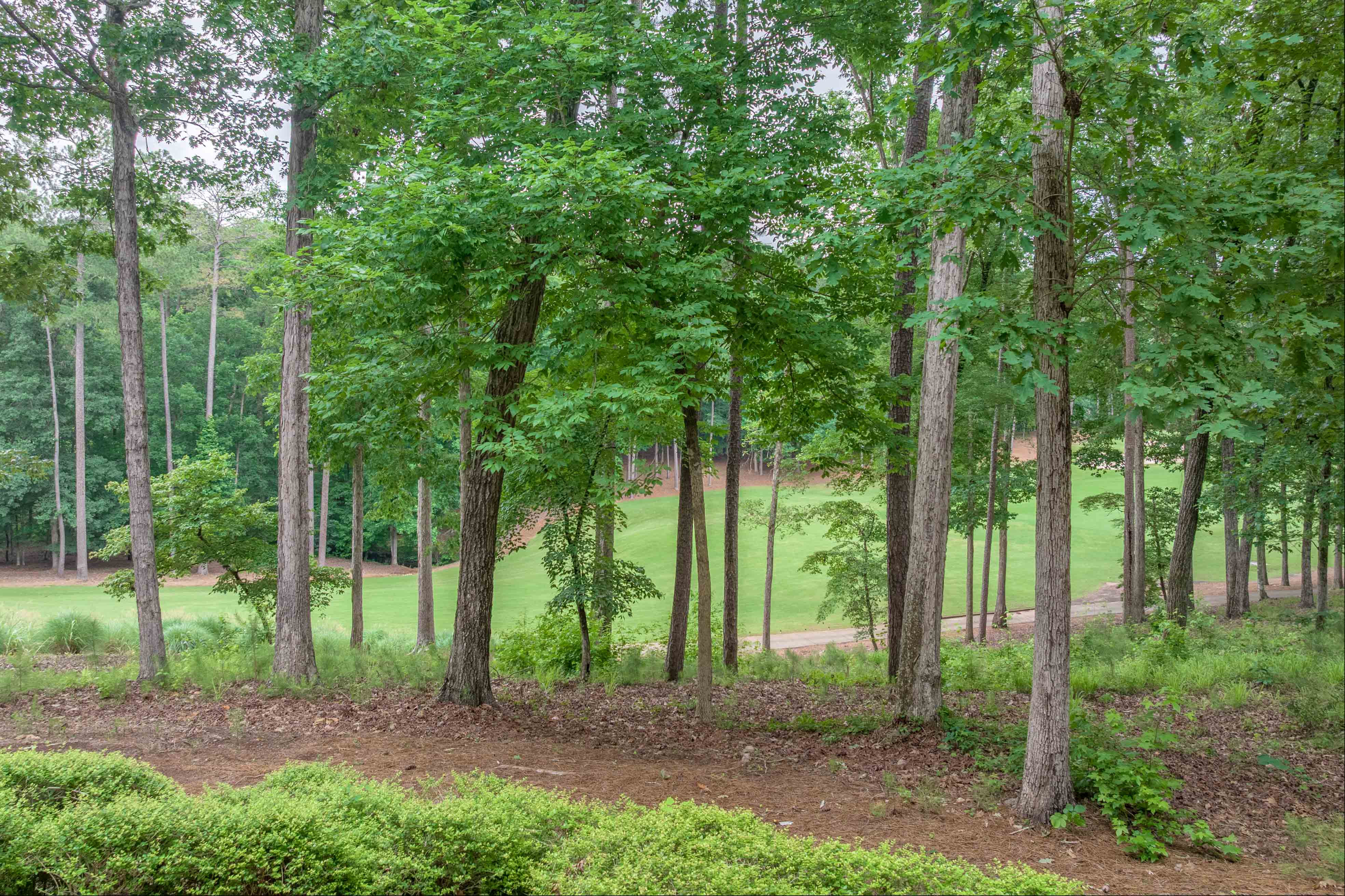 1020 Sallie's View image 42